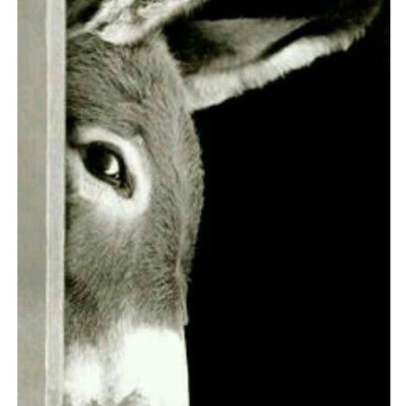 Meet your Posher, Buttons - Picture 1 of 1